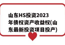 山东HS投资2023年债权资产收益权(山东最新投资项目投产)