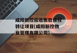 咸阳新控应收账款债权转让项目(咸阳新控物业管理有限公司)