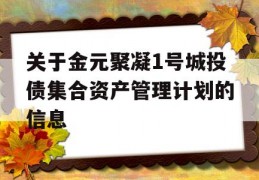 关于金元聚凝1号城投债集合资产管理计划的信息