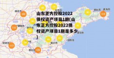 山东正方控股2022债权资产项目1期(山东正方控股2022债权资产项目1期是多少)