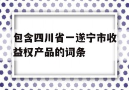 包含四川省一遂宁市收益权产品的词条