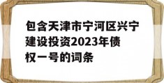 包含天津市宁河区兴宁建设投资2023年债权一号的词条