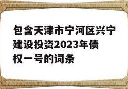 包含天津市宁河区兴宁建设投资2023年债权一号的词条