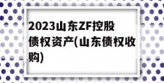 2023山东ZF控股债权资产(山东债权收购)