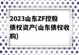 2023山东ZF控股债权资产(山东债权收购)