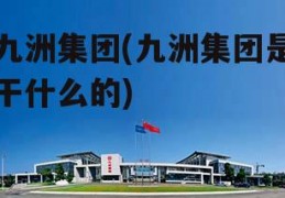 九洲集团(九洲集团是干什么的)