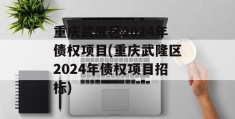 重庆武隆区2024年债权项目(重庆武隆区2024年债权项目招标)