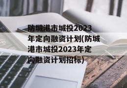 防城港市城投2023年定向融资计划(防城港市城投2023年定向融资计划招标)