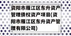 资阳市雁江区东升资产管理债权资产项目(资阳市雁江区东升资产管理有限公司)