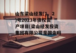 山东梁山经发(1、2)号2023年债权资产项目(梁山经发投资集团有限公司是国企吗)