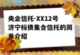 央企信托-XX12号济宁标债集合信托的简单介绍