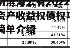 潍坊滨海公有2022年资产收益权债权项目的简单介绍