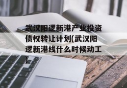 武汉阳逻新港产业投资债权转让计划(武汉阳逻新港线什么时候动工)