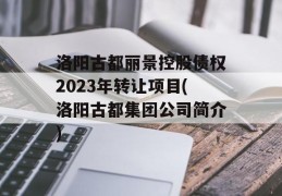 洛阳古都丽景控股债权2023年转让项目(洛阳古都集团公司简介)