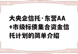 大央企信托·东营AA+市级标债集合资金信托计划的简单介绍