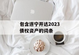 包含遂宁开达2023债权资产的词条