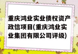 重庆鸿业实业债权资产政信项目(重庆鸿业实业集团有限公司评级)