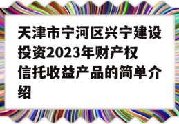 天津市宁河区兴宁建设投资2023年财产权信托收益产品的简单介绍