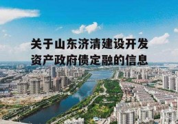 关于山东济清建设开发资产政府债定融的信息