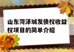 山东菏泽城发债权收益权项目的简单介绍