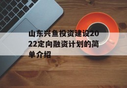 山东兴鱼投资建设2022定向融资计划的简单介绍