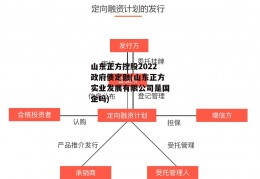 山东正方控股2022政府债定融(山东正方实业发展有限公司是国企吗)