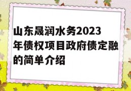 山东晟润水务2023年债权项目政府债定融的简单介绍