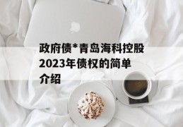 政府债*青岛海科控股2023年债权的简单介绍