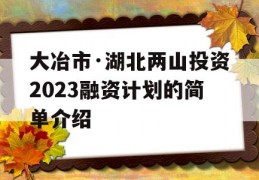 大冶市·湖北两山投资2023融资计划的简单介绍