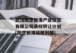 武汉阳逻新港产业投资有限公司债权转让计划(阳逻新港线规划图)