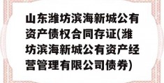 山东潍坊滨海新城公有资产债权合同存证(潍坊滨海新城公有资产经营管理有限公司债券)