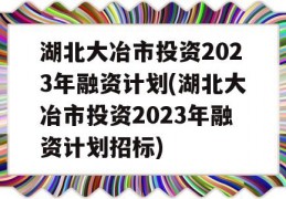 湖北大冶市投资2023年融资计划(湖北大冶市投资2023年融资计划招标)