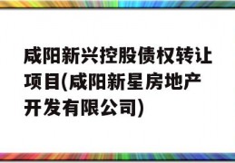 咸阳新兴控股债权转让项目(咸阳新星房地产开发有限公司)