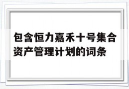 包含恒力嘉禾十号集合资产管理计划的词条