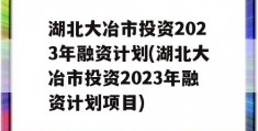 湖北大冶市投资2023年融资计划(湖北大冶市投资2023年融资计划项目)