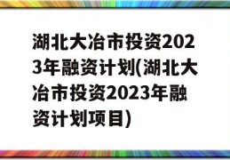 湖北大冶市投资2023年融资计划(湖北大冶市投资2023年融资计划项目)