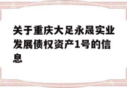 关于重庆大足永晟实业发展债权资产1号的信息