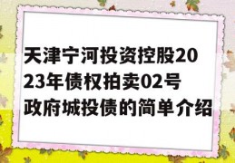 天津宁河投资控股2023年债权拍卖02号政府城投债的简单介绍