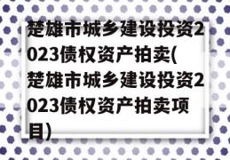 楚雄市城乡建设投资2023债权资产拍卖(楚雄市城乡建设投资2023债权资产拍卖项目)