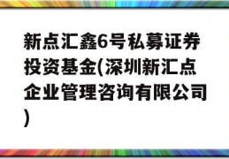 新点汇鑫6号私募证券投资基金(深圳新汇点企业管理咨询有限公司)