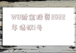 WD财金投资2022年债权1号