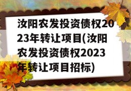 汝阳农发投资债权2023年转让项目(汝阳农发投资债权2023年转让项目招标)