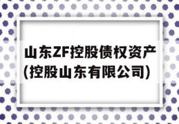 山东ZF控股债权资产(控股山东有限公司)