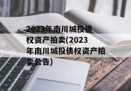 2023年南川城投债权资产拍卖(2023年南川城投债权资产拍卖公告)