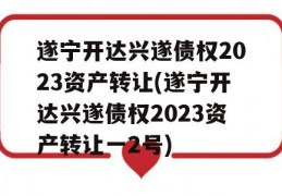 遂宁开达兴遂债权2023资产转让(遂宁开达兴遂债权2023资产转让一2号)