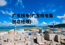 广东核电(广东核电集团总经理)