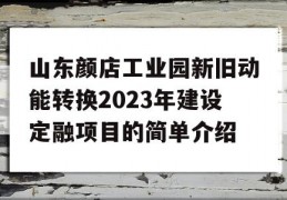 山东颜店工业园新旧动能转换2023年建设定融项目的简单介绍