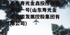 山东寿光金鑫投控政信债权一号(山东寿光金鑫投资发展控股集团有限公司)