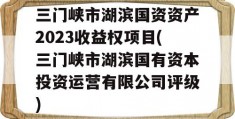 三门峡市湖滨国资资产2023收益权项目(三门峡市湖滨国有资本投资运营有限公司评级)