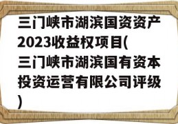 三门峡市湖滨国资资产2023收益权项目(三门峡市湖滨国有资本投资运营有限公司评级)